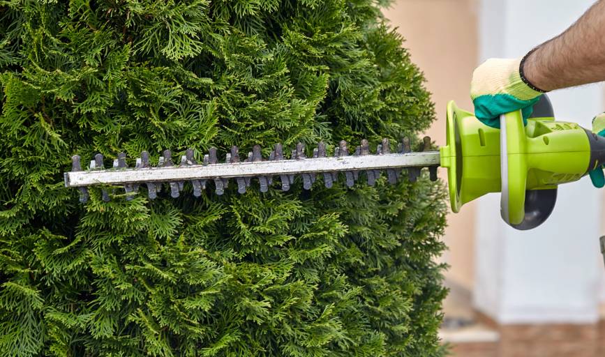 Hedge Trimming