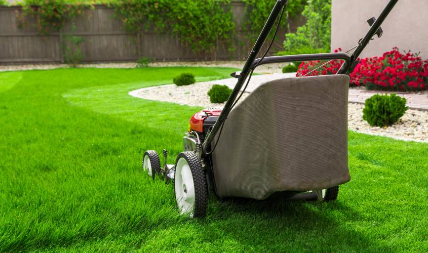 Lawn Mowing